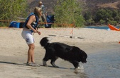 Enlarge photo 2