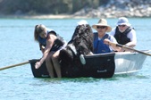 Enlarge photo 22
