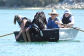 Enlarge photo 23