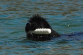 Enlarge photo 10