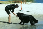 Enlarge photo 17