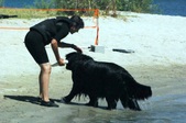 Enlarge photo 19