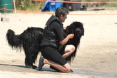 Enlarge photo 20