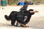 Enlarge photo 23