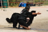 Enlarge photo 24