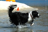 Enlarge photo 13