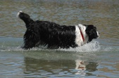 Enlarge photo 16