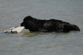Enlarge photo 13
