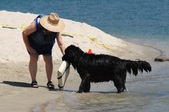 Enlarge photo 15