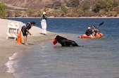 Enlarge photo 17