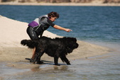 Enlarge photo 21