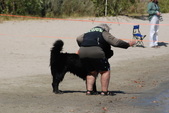 Enlarge photo 4