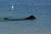 Enlarge photo 11