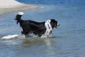 Enlarge photo 14