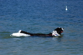 Enlarge photo 19