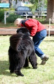 Enlarge photo 6