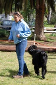 Enlarge photo 13