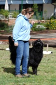 Enlarge photo 16