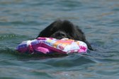 Enlarge photo 18