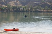 Newf Water Training @ Castaic Lake