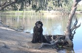 Obie - Pictures for his VN article