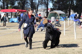 Enlarge photo 14