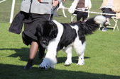 Enlarge photo 23