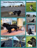 Enlarge photo 11