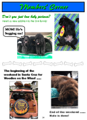 Enlarge photo 14