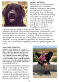 Enlarge photo 20