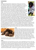 Enlarge photo 18