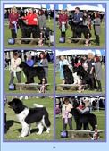 Enlarge photo 18