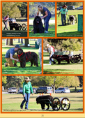 Enlarge photo 21