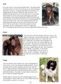 Enlarge photo 23