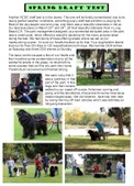 Enlarge photo 17