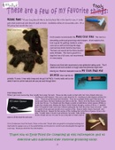 Enlarge photo 17