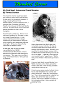 Enlarge photo 10