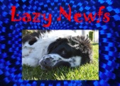 Lazy Newfs