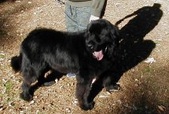 Rescue