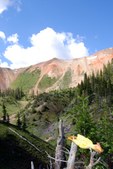 Enlarge photo 4