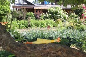 Enlarge photo 15