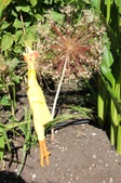 Enlarge photo 16