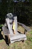 Enlarge photo 21