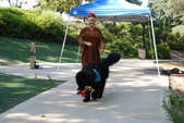 Enlarge photo 9