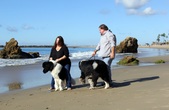 Enlarge photo 13
