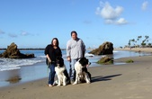 Enlarge photo 17