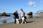Enlarge photo 18