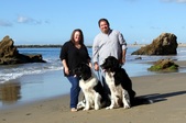 Enlarge photo 22