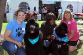 Special Olympics 2012