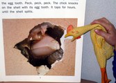 Enlarge photo 14